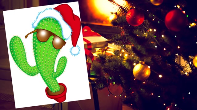 vimeo placeholder image